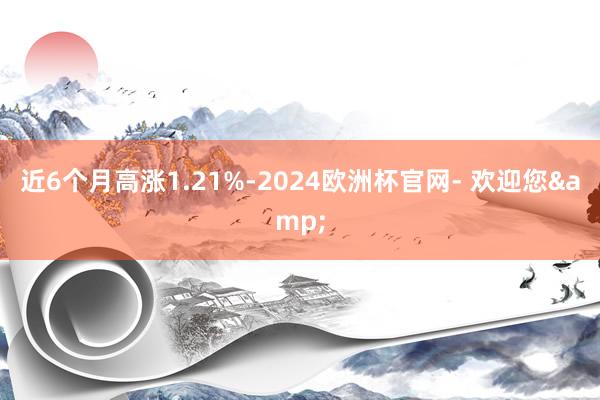 近6个月高涨1.21%-2024欧洲杯官网- 欢迎您&