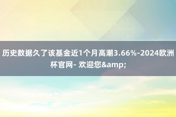 历史数据久了该基金近1个月高潮3.66%-2024欧洲杯官网- 欢迎您&