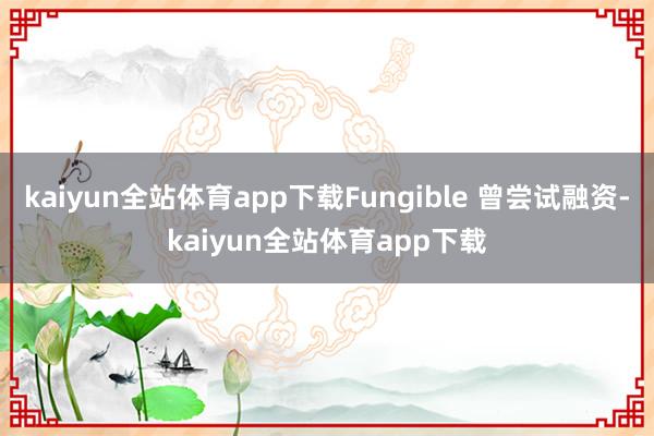 kaiyun全站体育app下载Fungible 曾尝试融资-kaiyun全站体育app下载