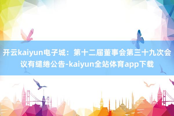 开云kaiyun电子城：第十二届董事会第三十九次会议有缱绻公告-kaiyun全站体育app下载
