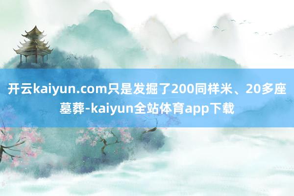开云kaiyun.com只是发掘了200同样米、20多座墓葬-kaiyun全站体育app下载