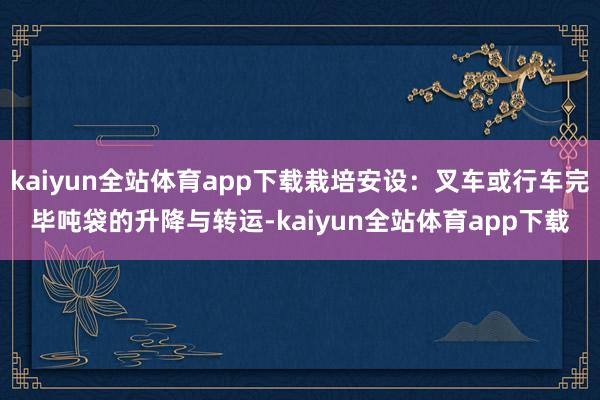 kaiyun全站体育app下载栽培安设：叉车或行车完毕吨袋的升降与转运-kaiyun全站体育app下载